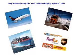 Consolidate Customs Broker in China
